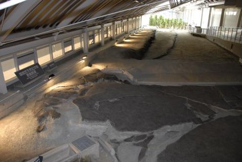 野島断層保存北淡震災記念公園