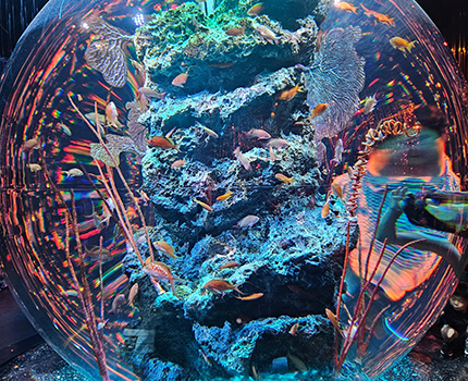 atoa（神戸ポートミュージアム）