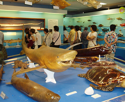 香美町立ジオパークと海の文化館