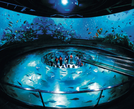 城崎マリンワールド